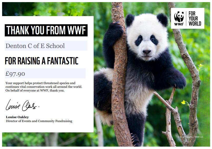 The House Captains held a fundraising day which was enjoyed by the whole school. 